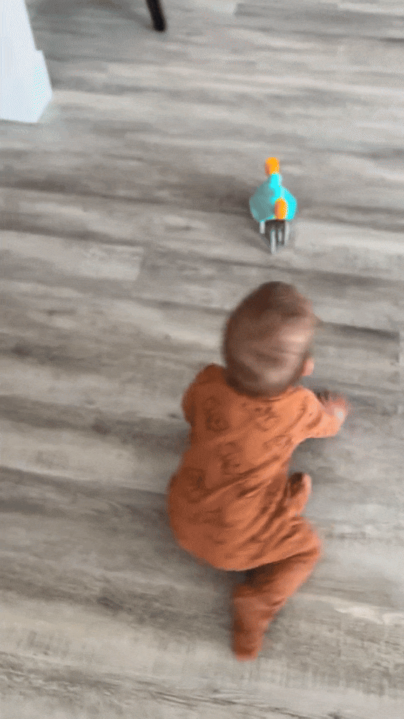 crawling crab toy